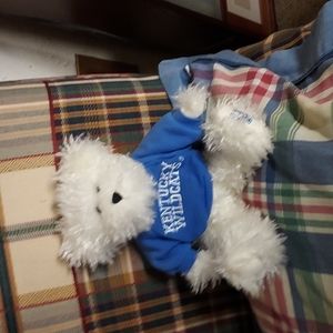 University of Kentucky Boyd's University Bear